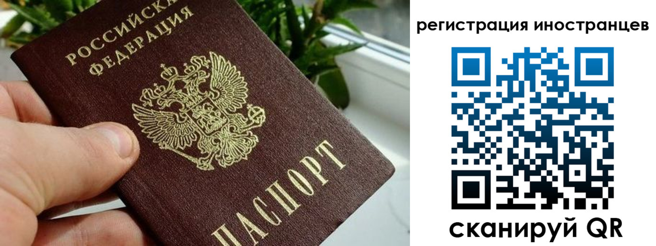 регистрация в Ржеве
